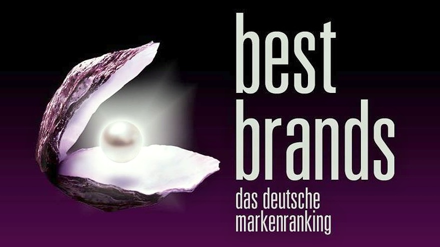Michelin: The Best Brands Award